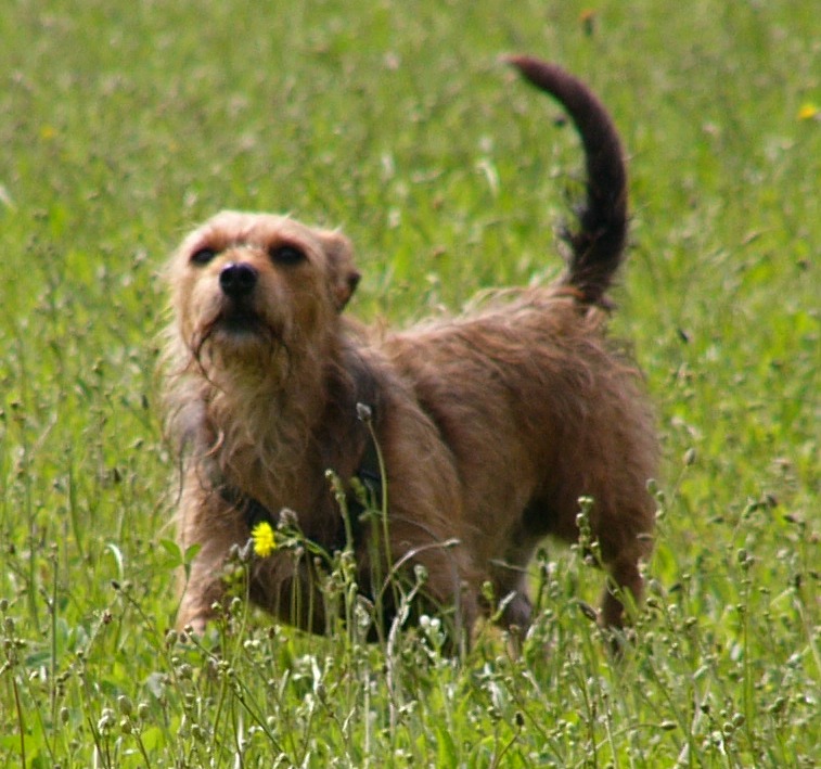 Lillyaufgeregt