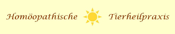 Logo Homo2